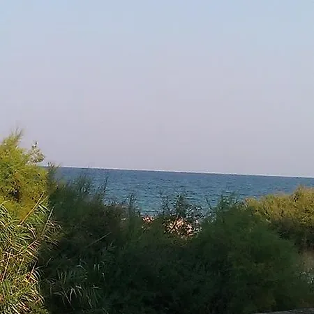 شقة дарко بوموري